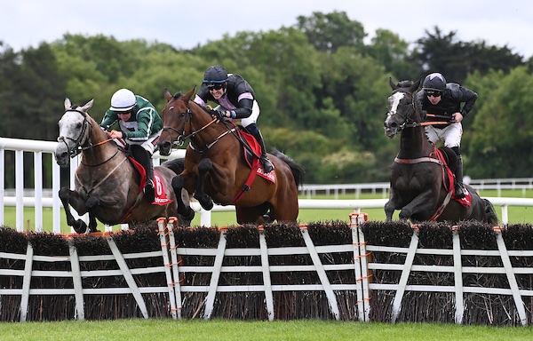 It’s back to back wins for Timeless Treaty &amp; Paddy Cleary as the partnership score in the novice hurdle <a href="/punchestownrace/">Punchestown</a> today. 

Congratulations to Sierra Pacific Racing, <a href="/PioneerRacing_/">Pioneer Horse Racing</a> &amp; Ruairi Digby. 

📸 Healy Racing