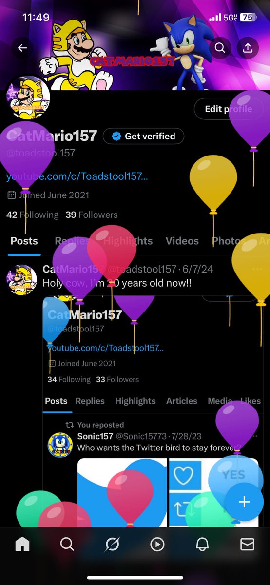 CatMario157 tweet media