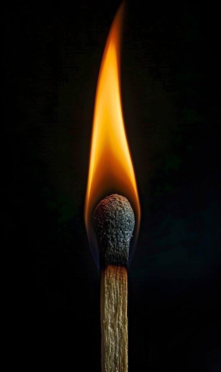 Quienquiera que seas, pongo sobre tí mis manos para que seas mi poema

🖋️Walt Whitman
📷web