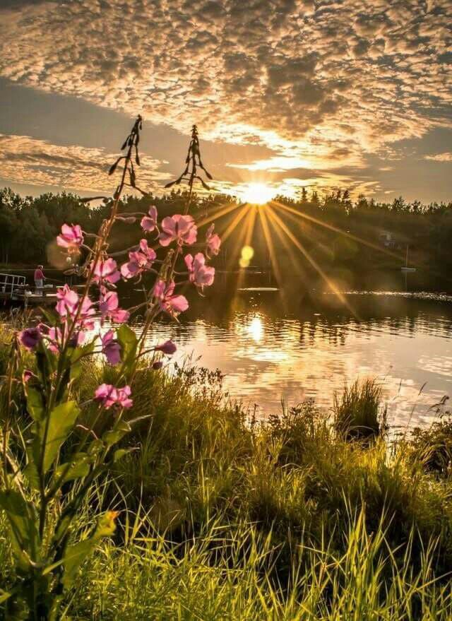 Xenia (@mubeen477) on Twitter photo 