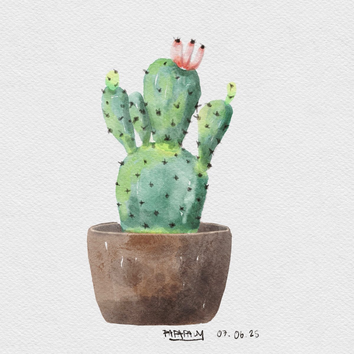 Palmpapalinin's tweet photo. Cactus - Watercolour #illstration #วาดไปเรื่อย #สีน้ำ https://t.co/lvaZBzcnea