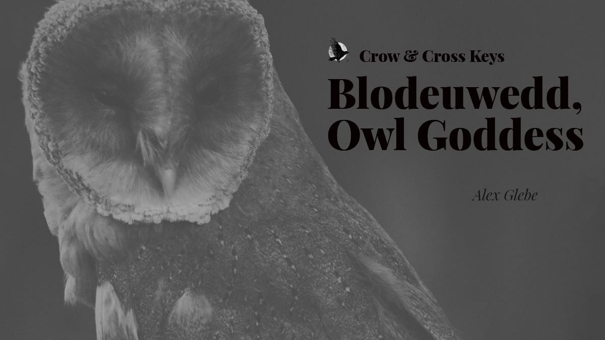 There is a small god that lives in the rafters of the tower. It hasn't always been a god. We don't know what it was before. We do know about Blodeuwedd. Read about here in today's flash...

"Blodeuwedd, Owl Goddess" by Alex Glebe

crowcrosskeys.com/2025/06/07/blo…