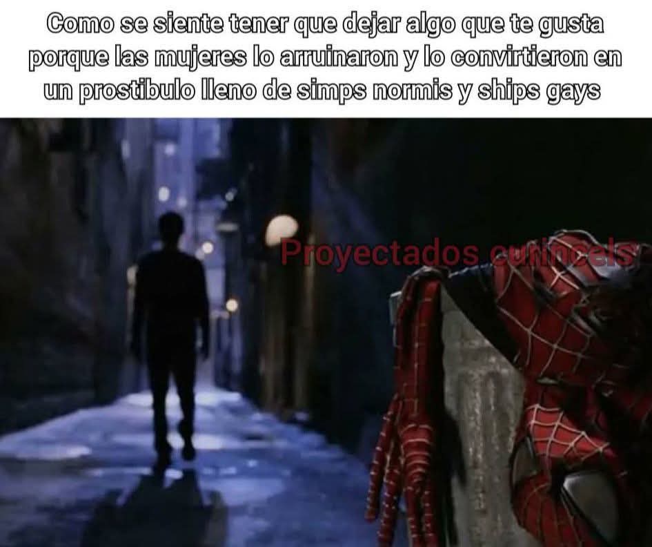 peluche molón de Niko oneshot tweet media