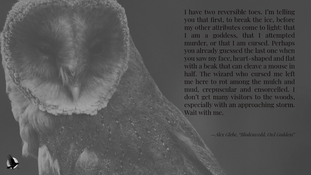 Click the link. Read with us.

crowcrosskeys.com/2025/06/07/blo…