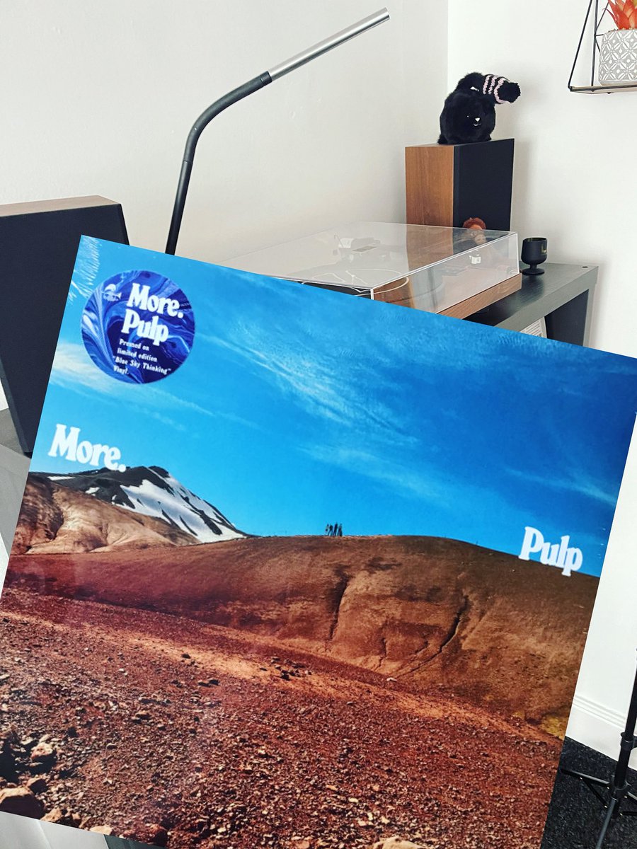 VinylSinger tweet media