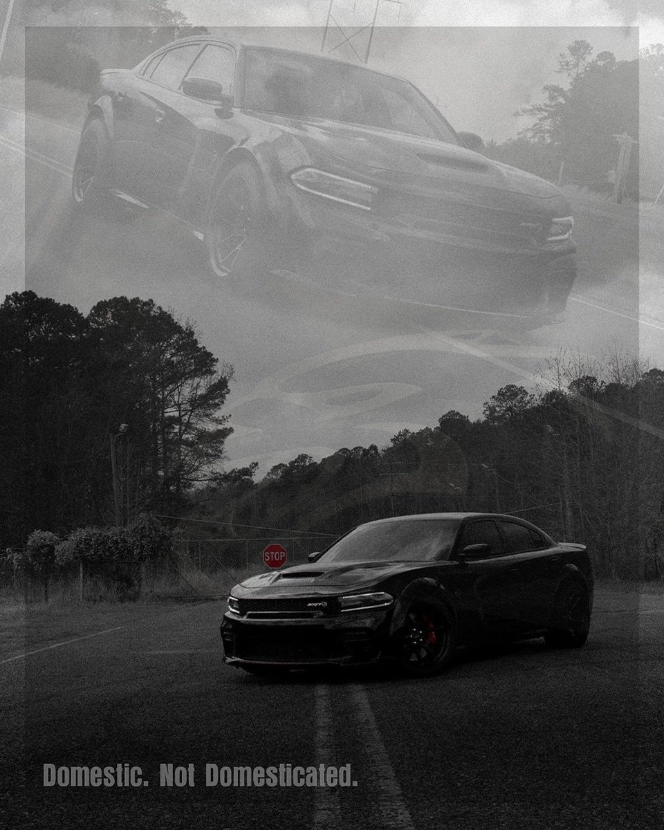 📸sensational_flickz