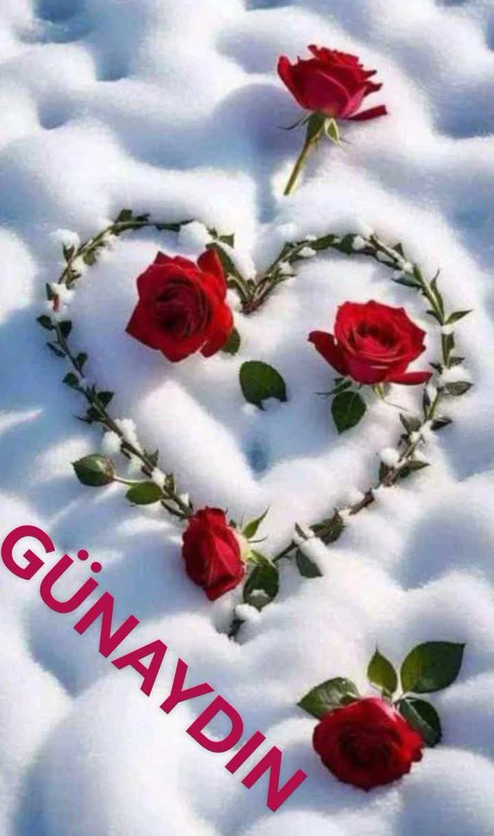 SalmaKhat's tweet photo. @sahin3434ist https://t.co/aAeOXDK9Db