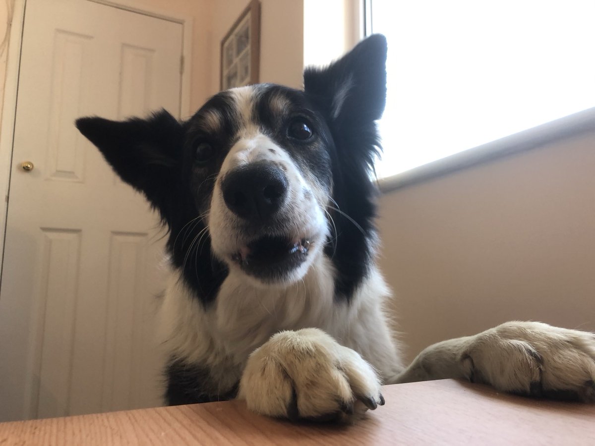 Remember that day I told dad it was time to finish werk