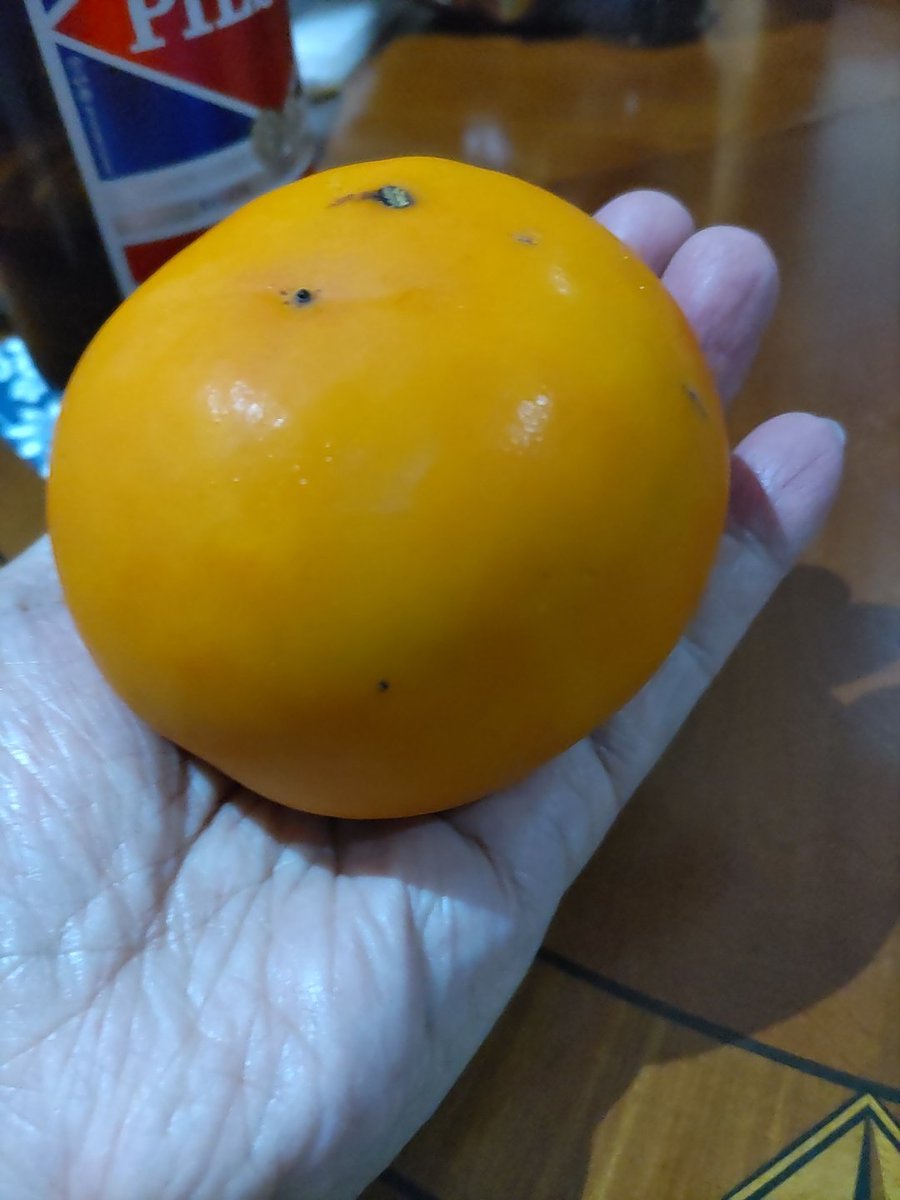 大好きな柿が出始めました。
#柿 #カキ