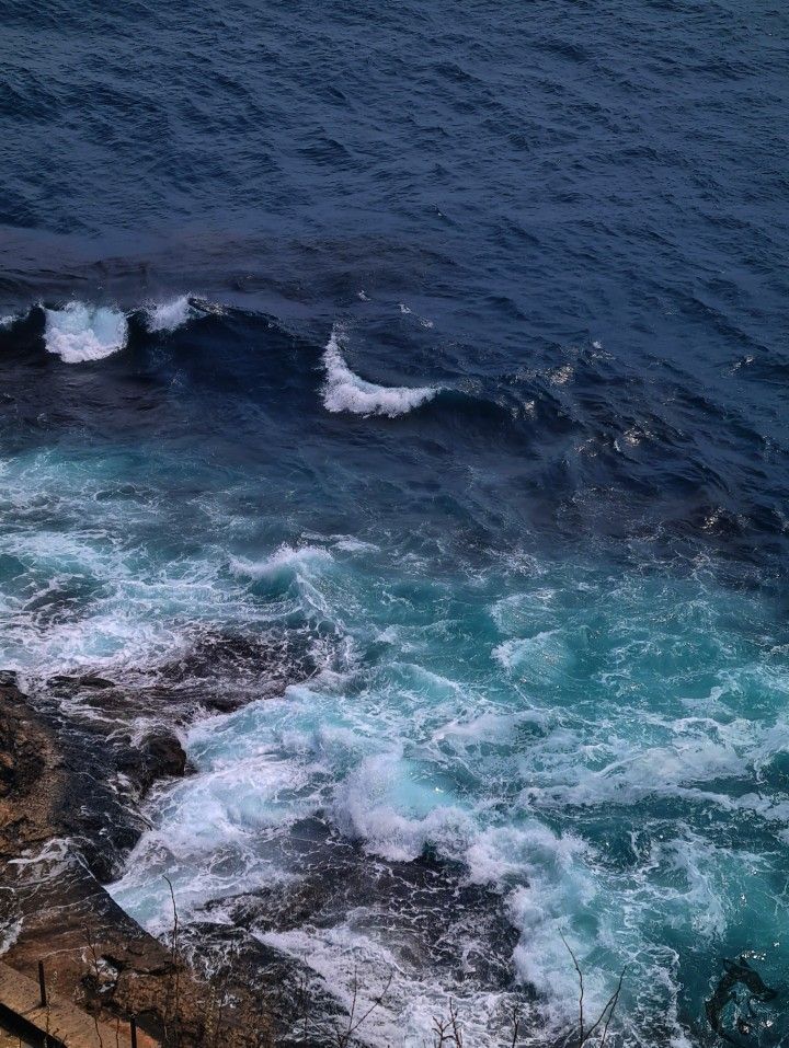 kiwiairene's tweet image. 