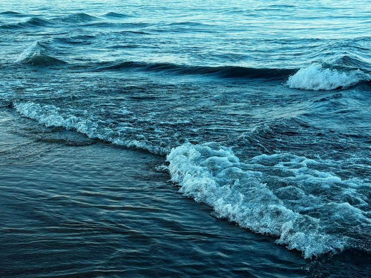 kiwiairene's tweet image. 