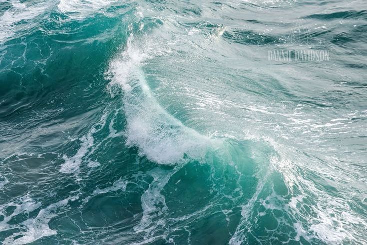 kiwiairene's tweet image. 