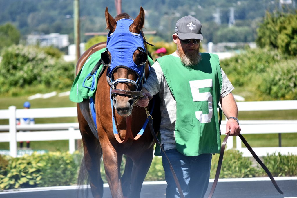 Hastings Racing Club tweet media