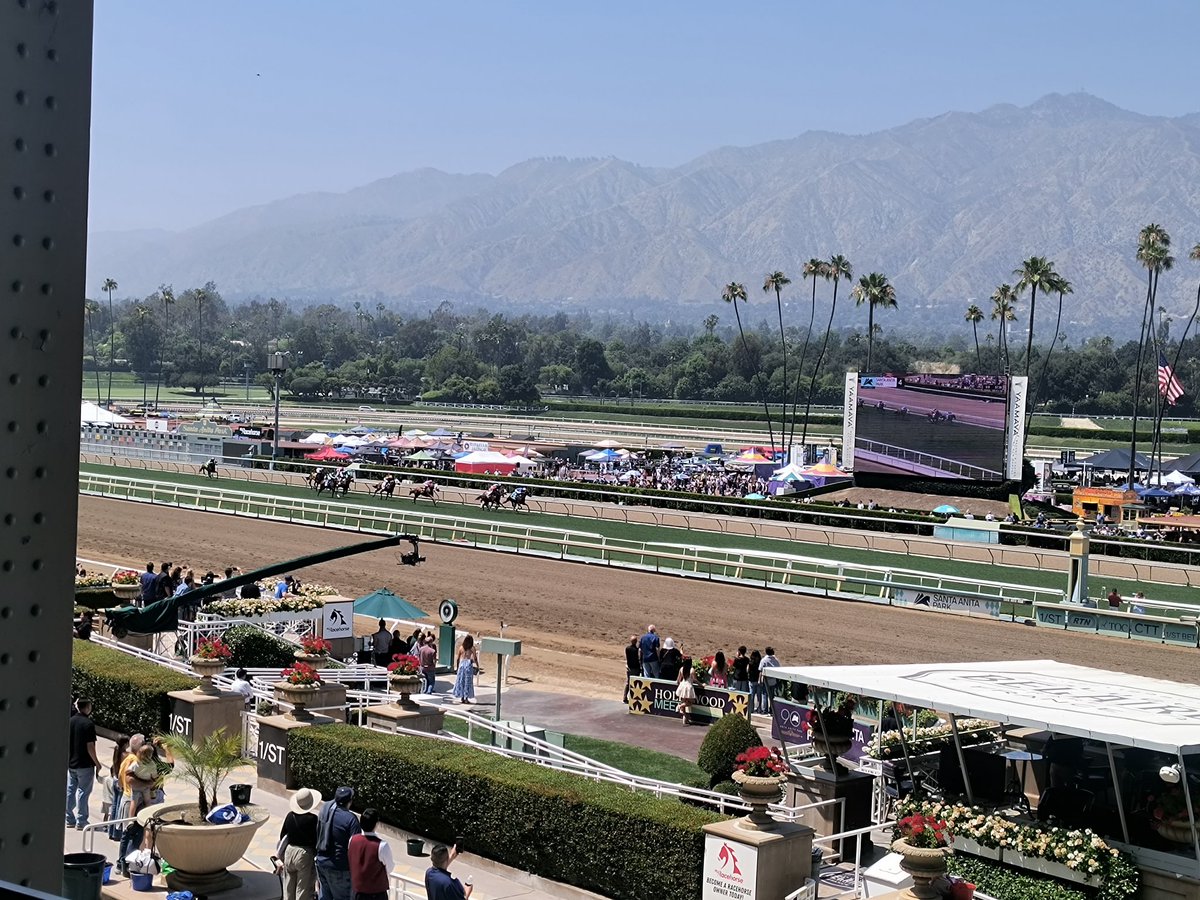 Belmont stakes day at Santa Anita 🐎😎🏆👍🏽🎉