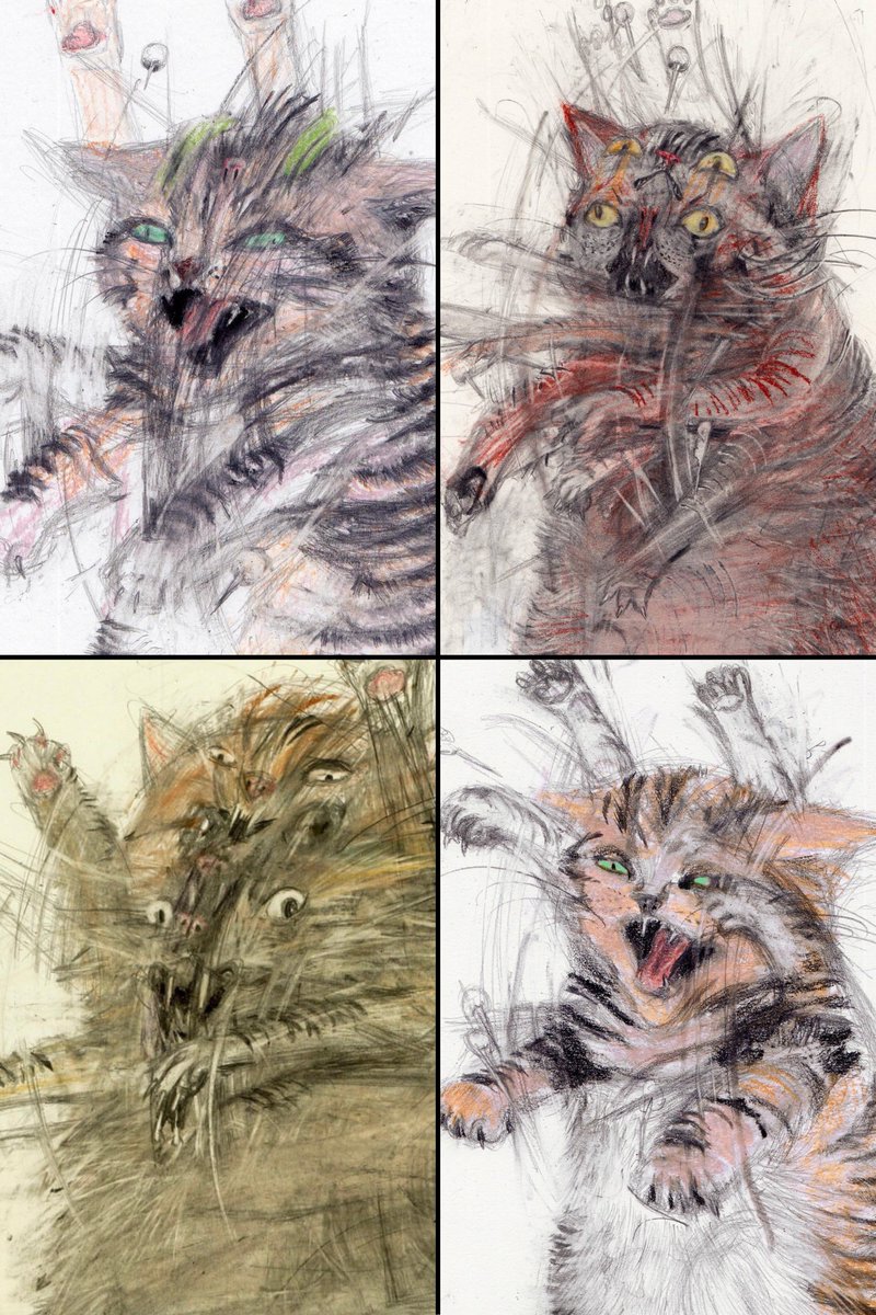 Cats by Léo Forest
