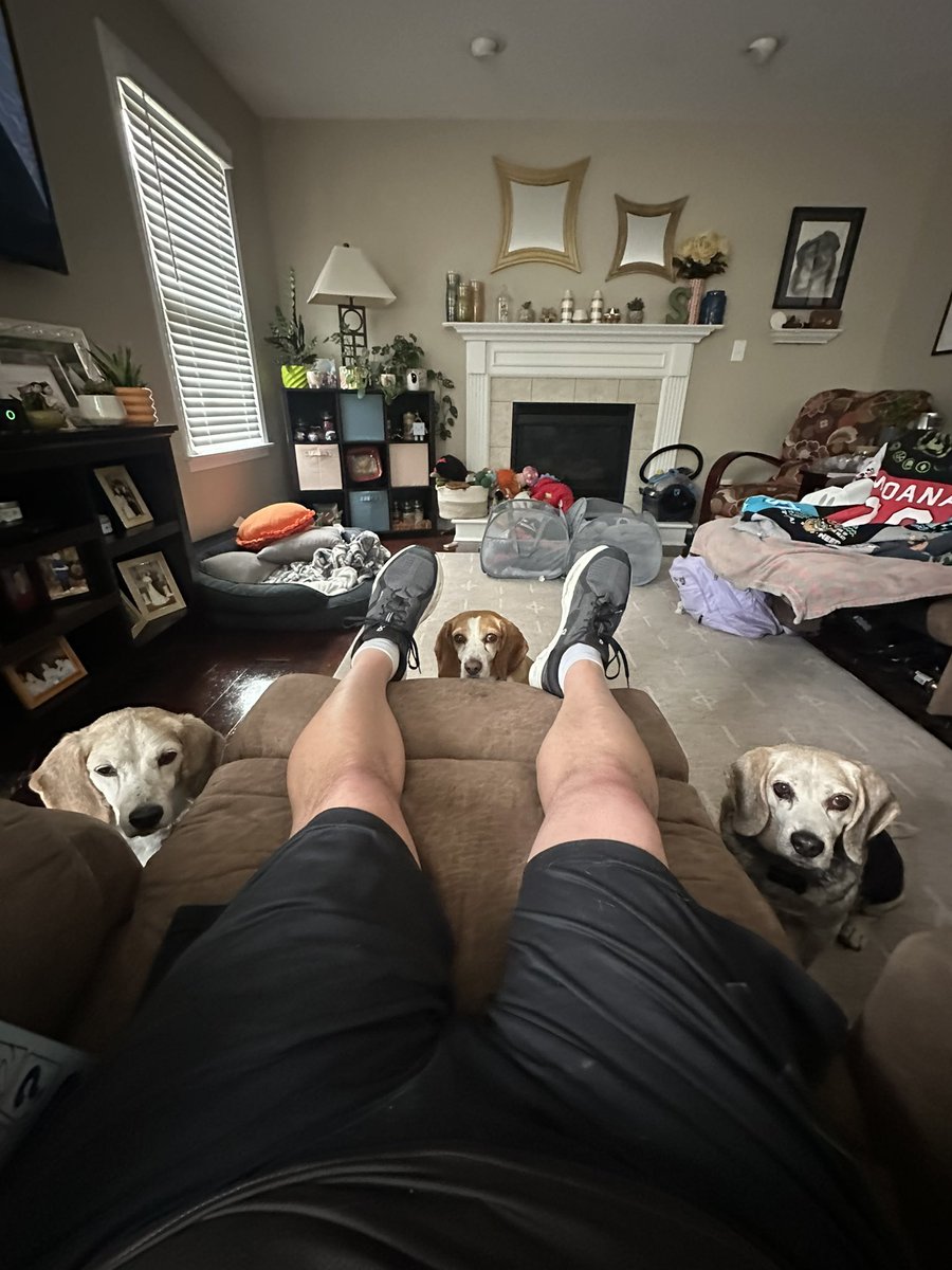 danstewart13's tweet photo. I’m getting the stare down 😳 https://t.co/4zgd7bTMcu