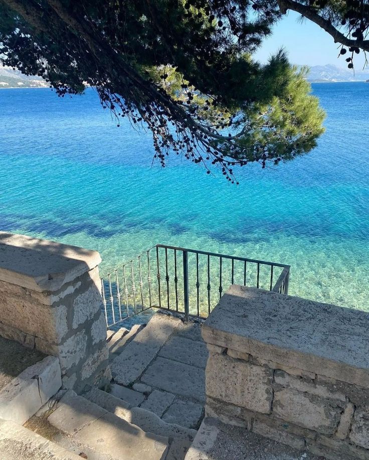 kiwiairene's tweet image. 