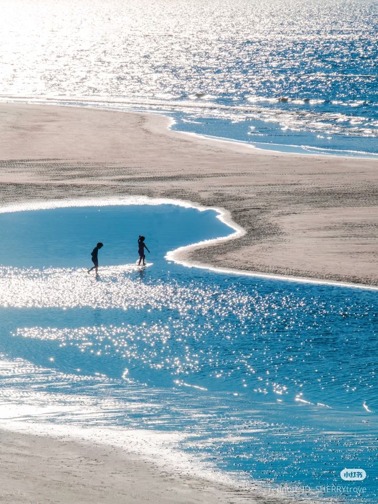 kiwiairene's tweet image. 