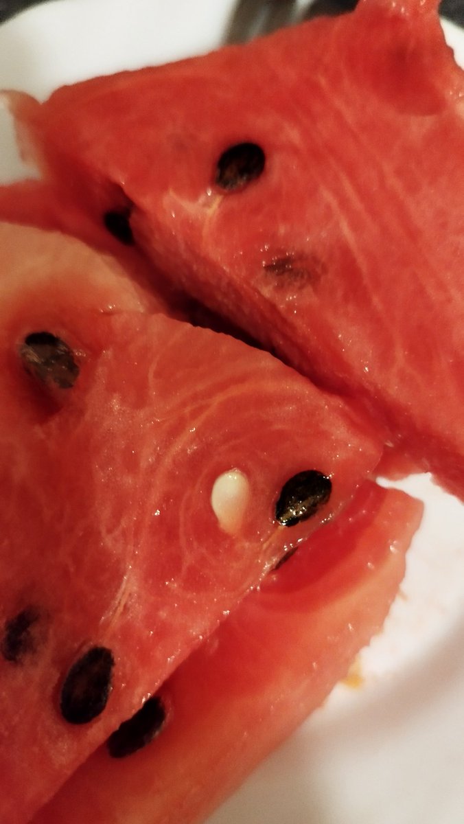 обро сам бостан брт