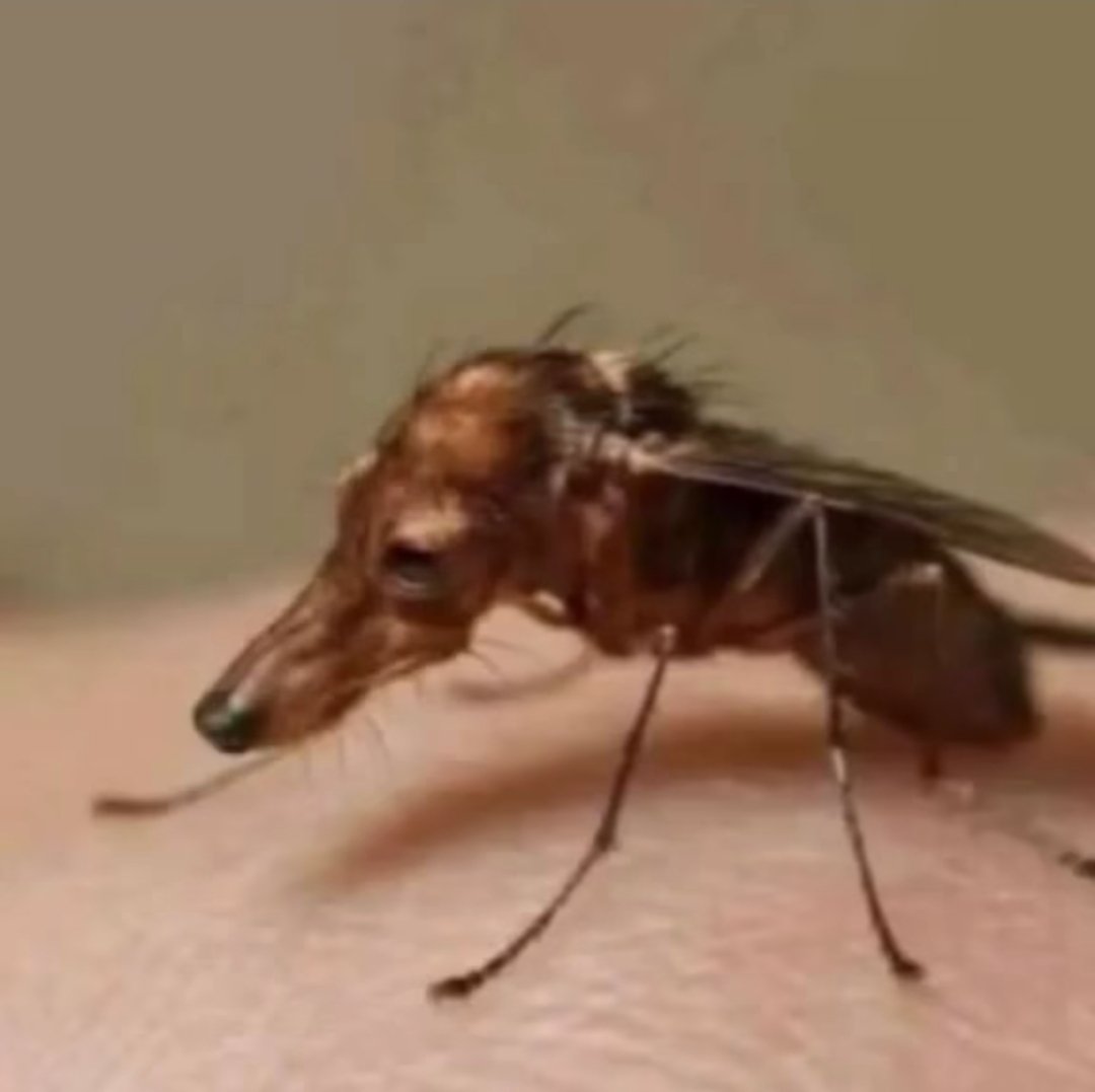 wo (@oyu333rea) on Twitter photo 