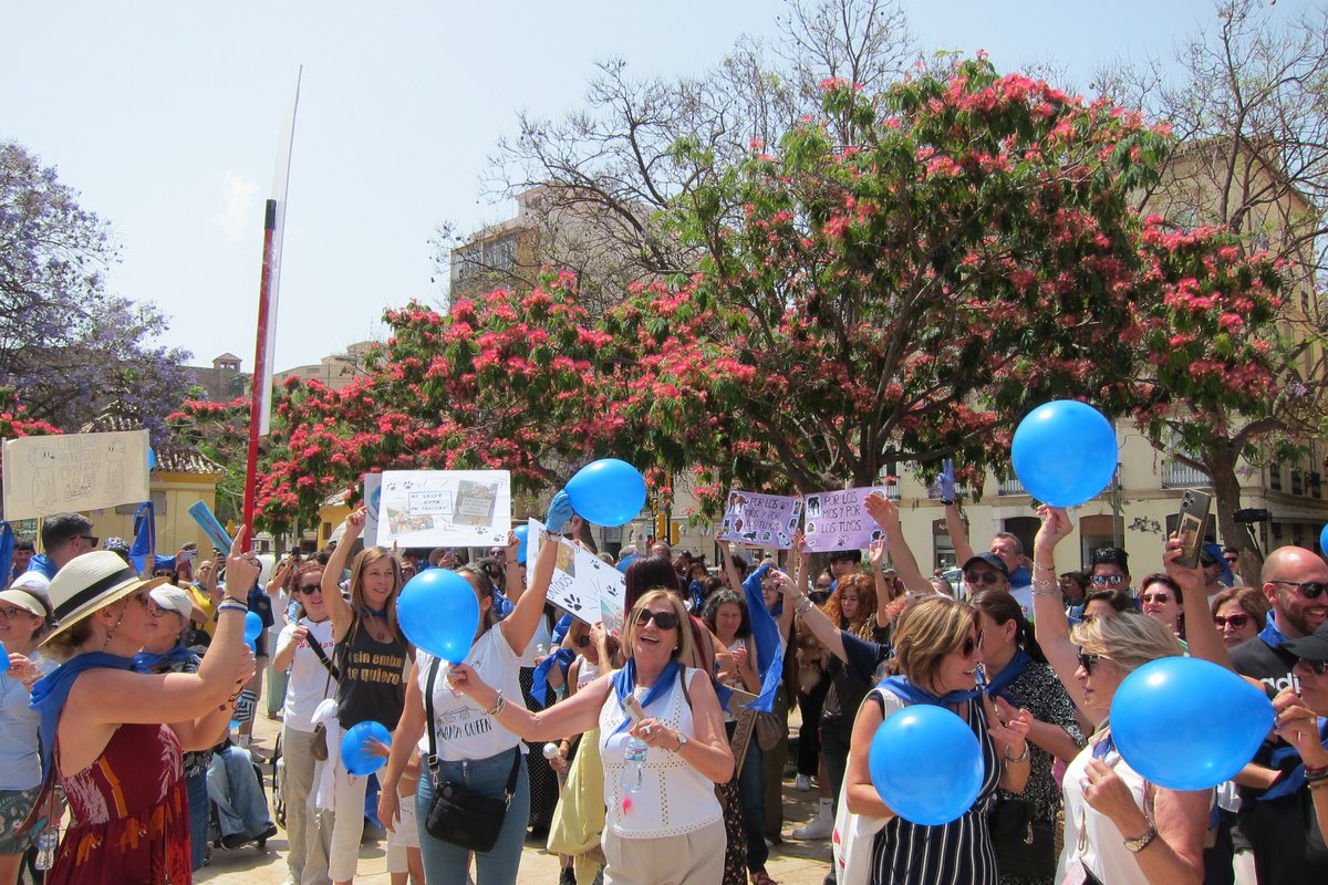 colvetmalaga tweet media