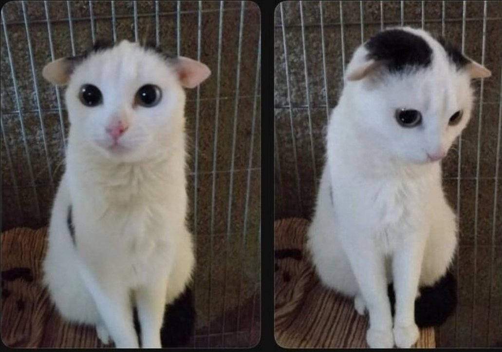 Oyu333Rea's tweet image. b .bonjour  a touss ... non laissez tomber...