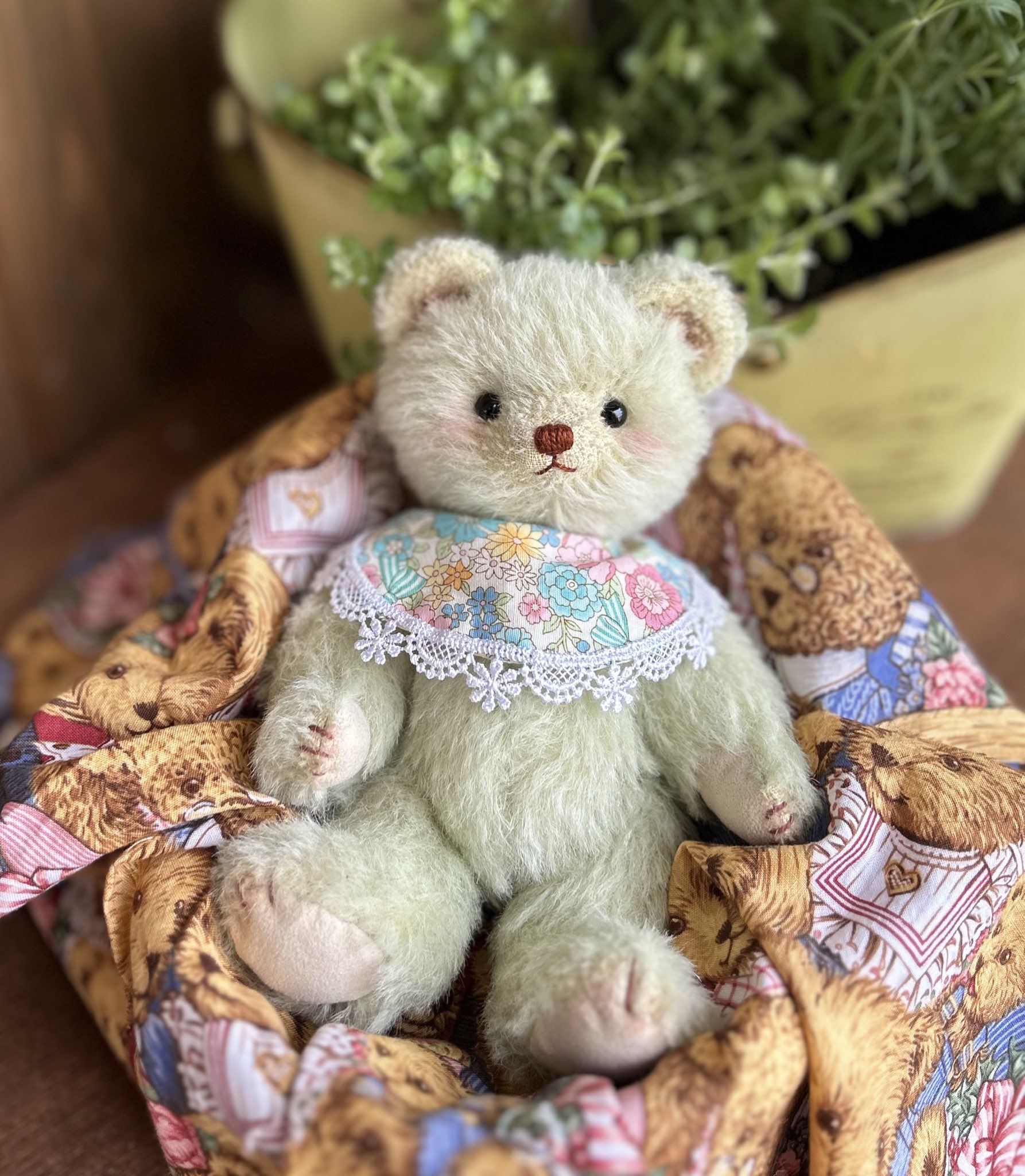 Hataco🧸 (@Hatacobear) / X