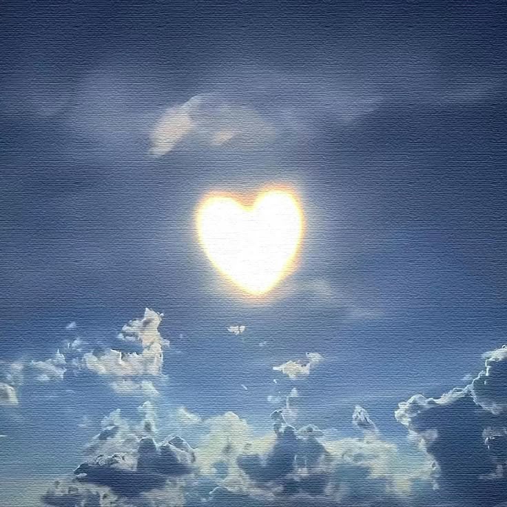 kiwiairene's tweet image. 