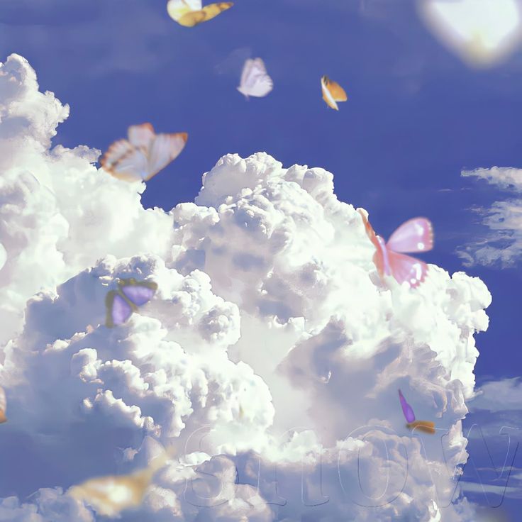 kiwiairene's tweet image. 