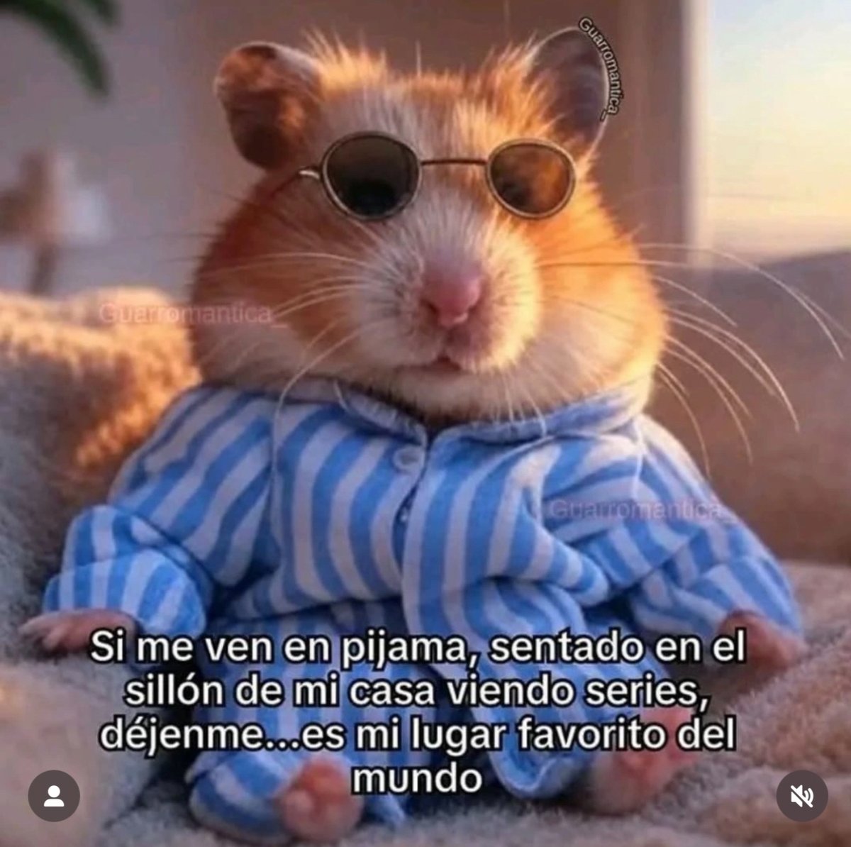 Guarromantico_'s tweet photo. Si me ven. https://t.co/W5aWg2nZTj