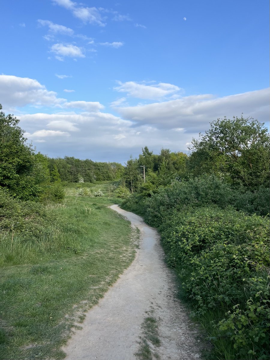 rly cool girl tweet media