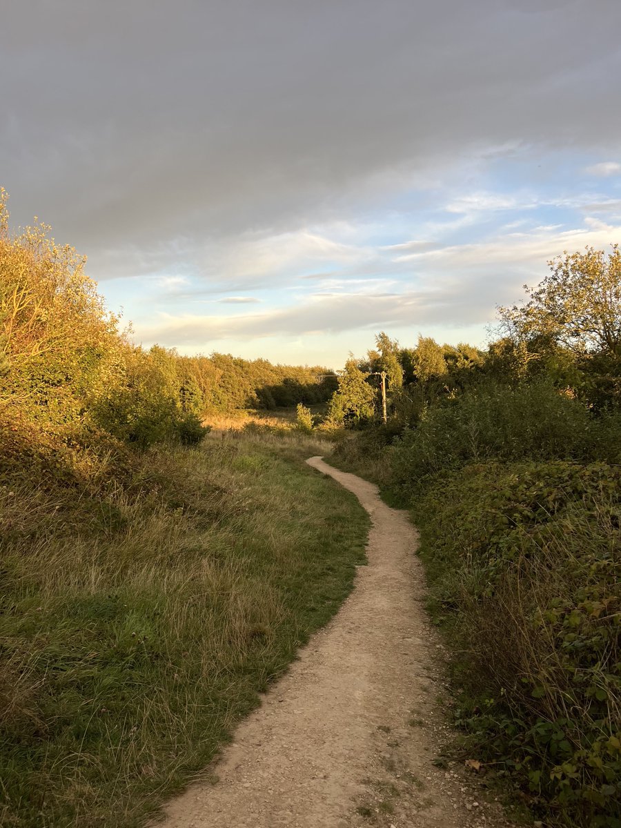 rly cool girl tweet media