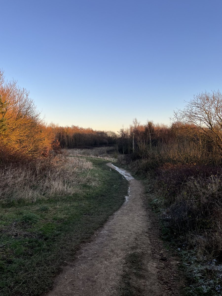 rly cool girl tweet media