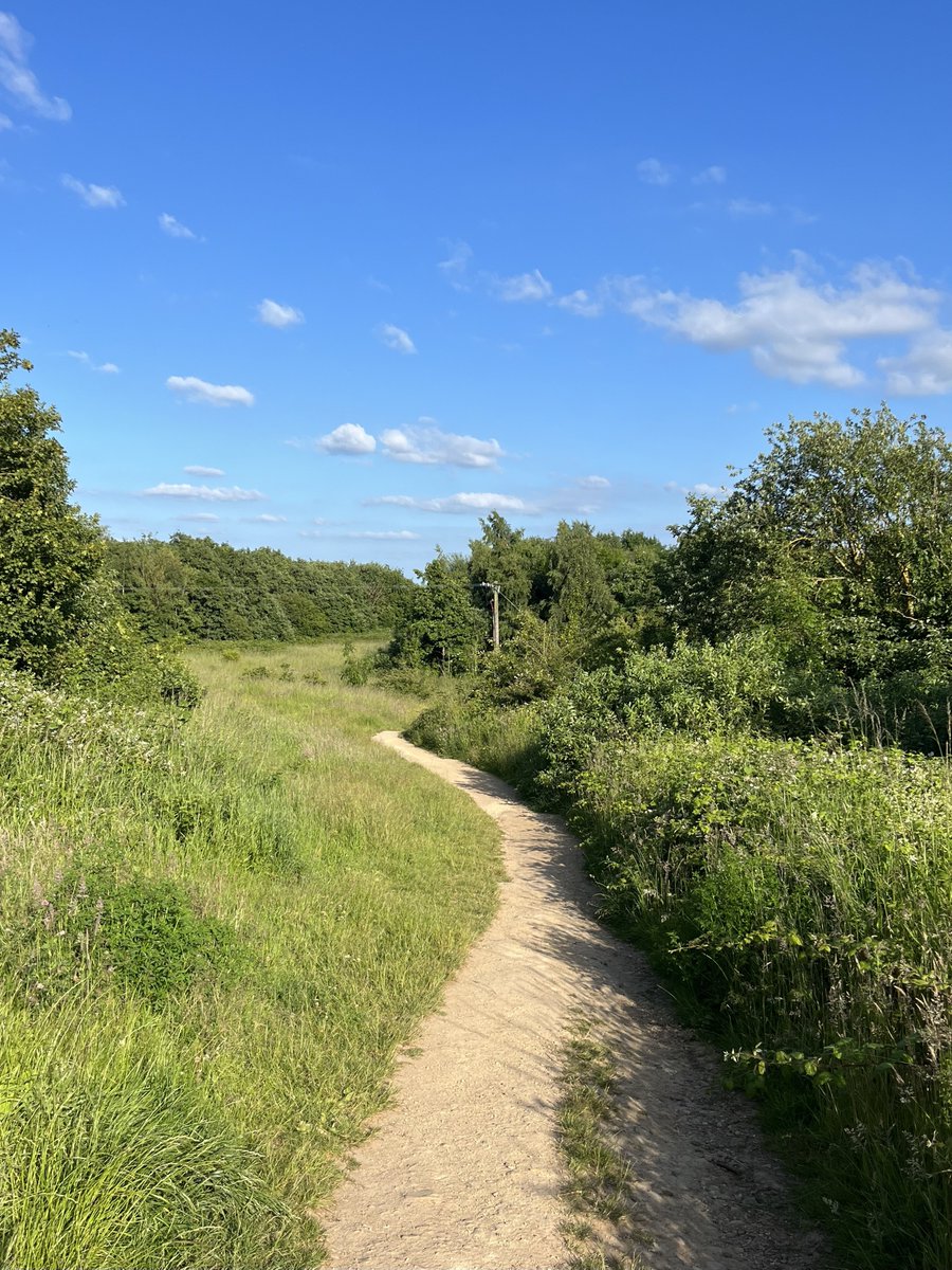 rly cool girl tweet media