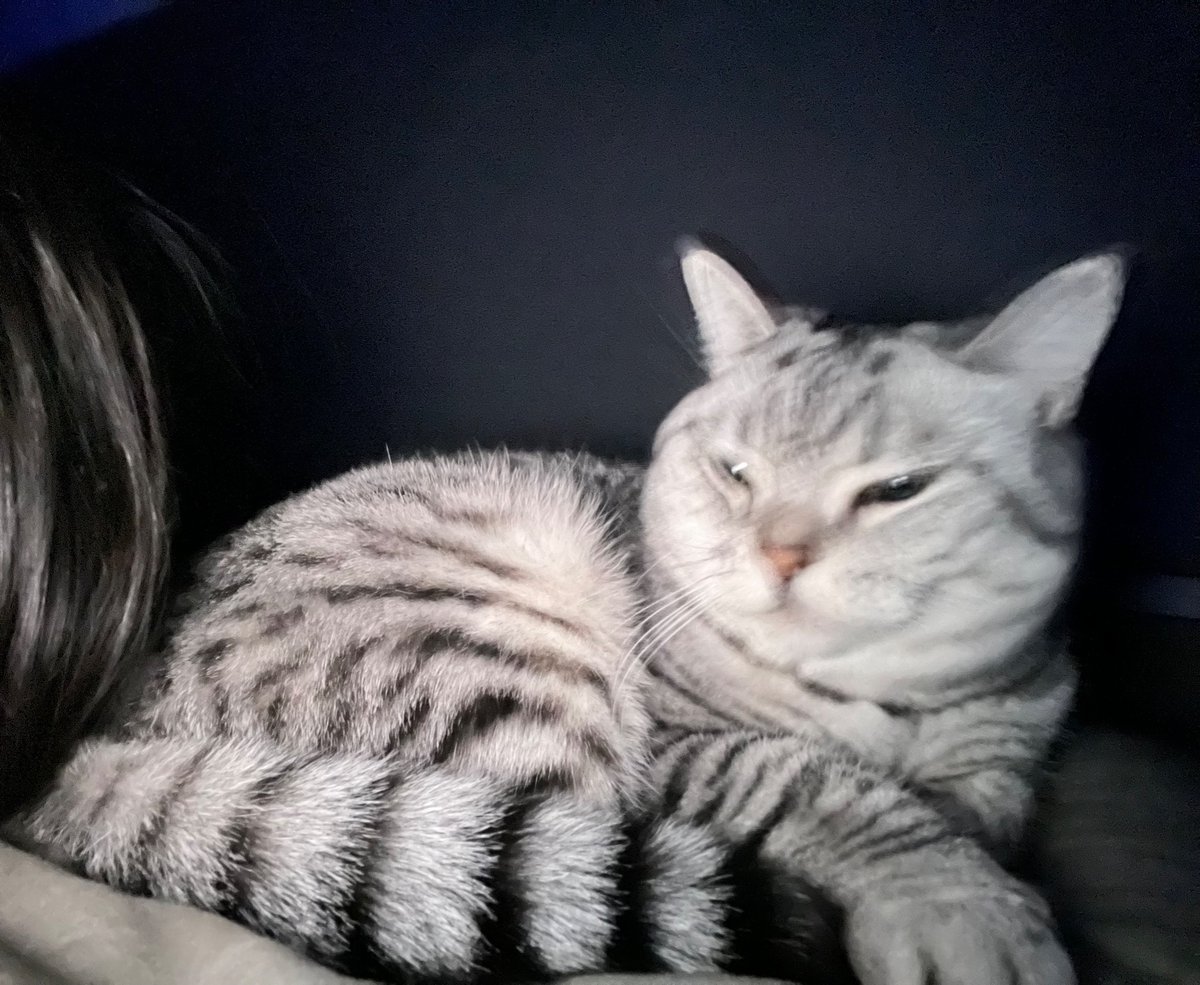 小猫提供陪睡业务