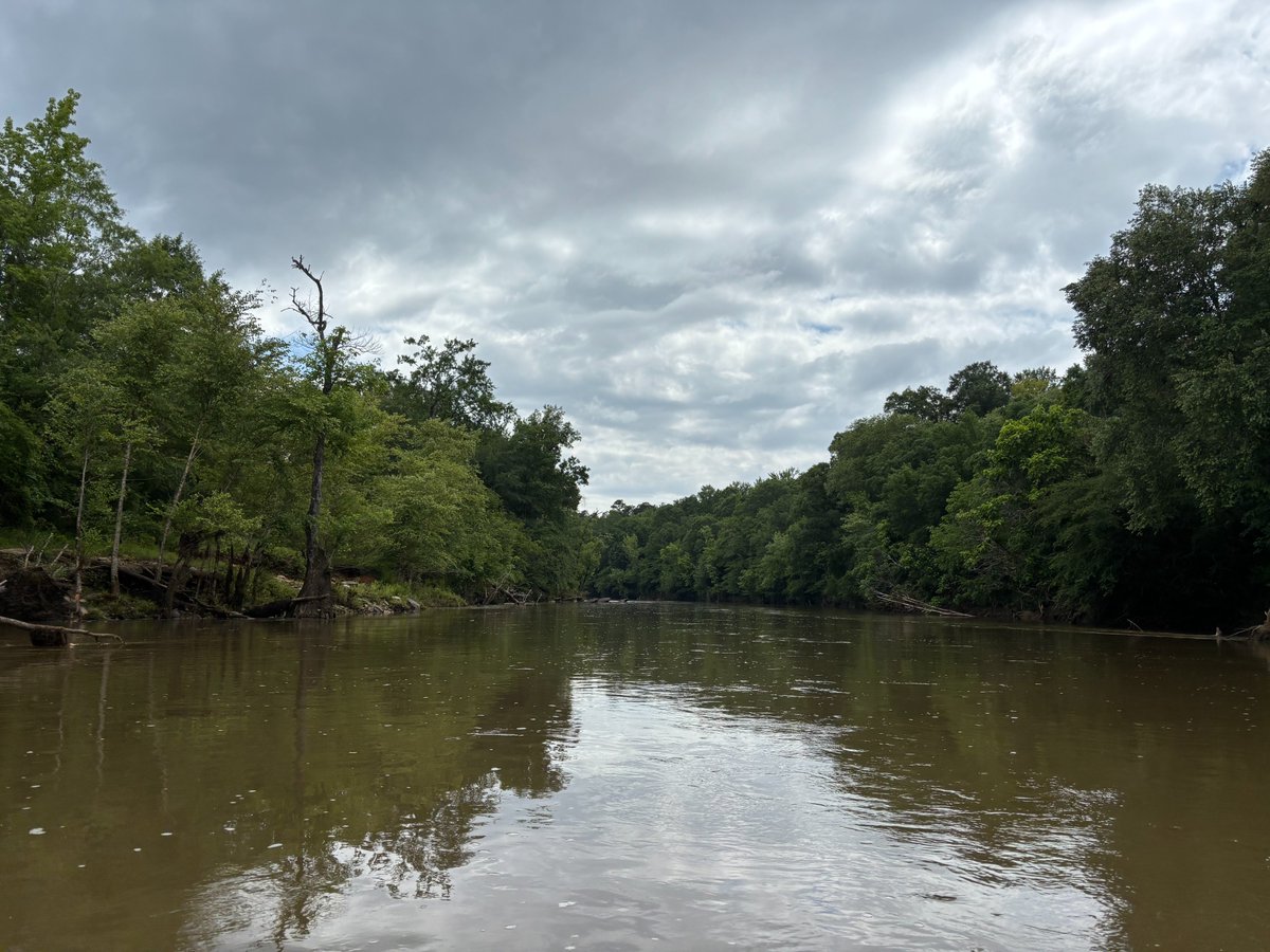 Cory Barnes tweet media