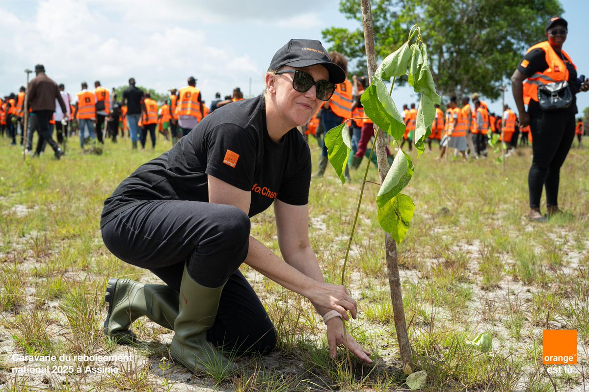 CI_Orange's tweet photo. 🌱 Retour sur la Caravane de Reboisement à Assinie !
Le 5 juin, à l’occasion de la #JournéeMondialeDelEnvironnement, @orange_ci & la Fondation YES ont reboisé la forêt N’ganda N’ganda avec le DG @mamadou_bamba_ & nos équipes.
#OrangeEngageForChange #ProudToBeOrange https://t.co/6LnUaBgcHf