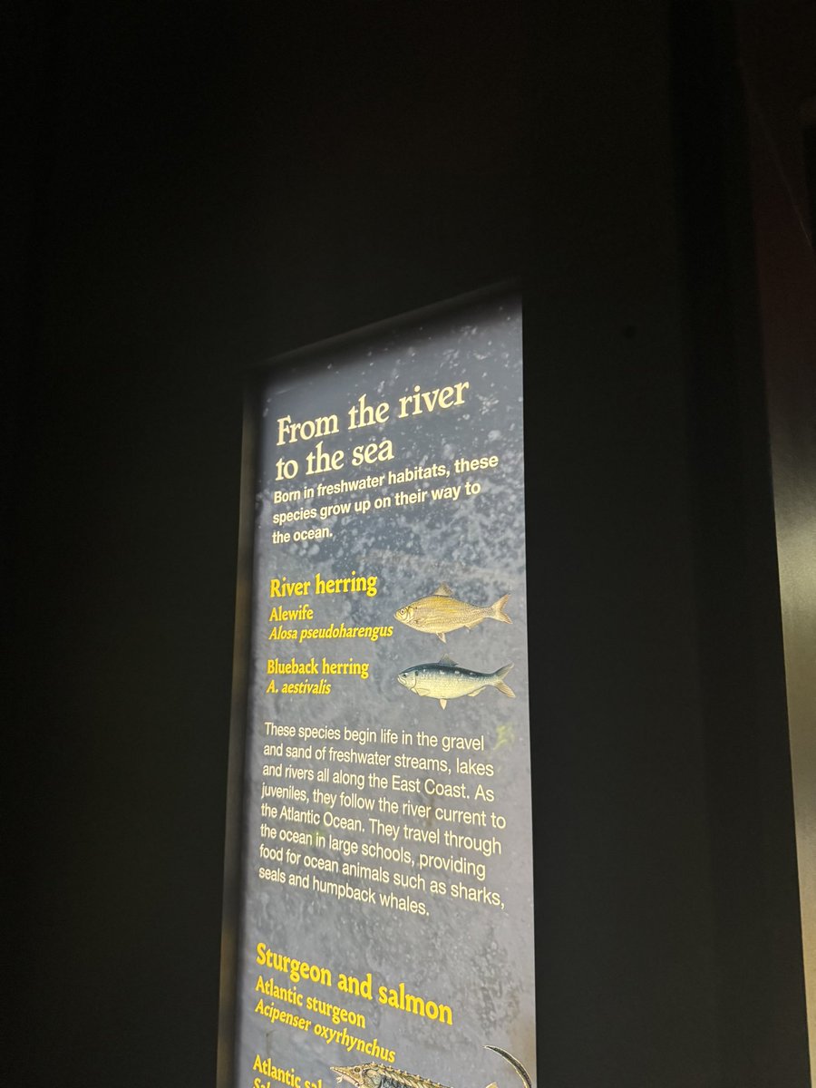 boston aquarium said free palestine