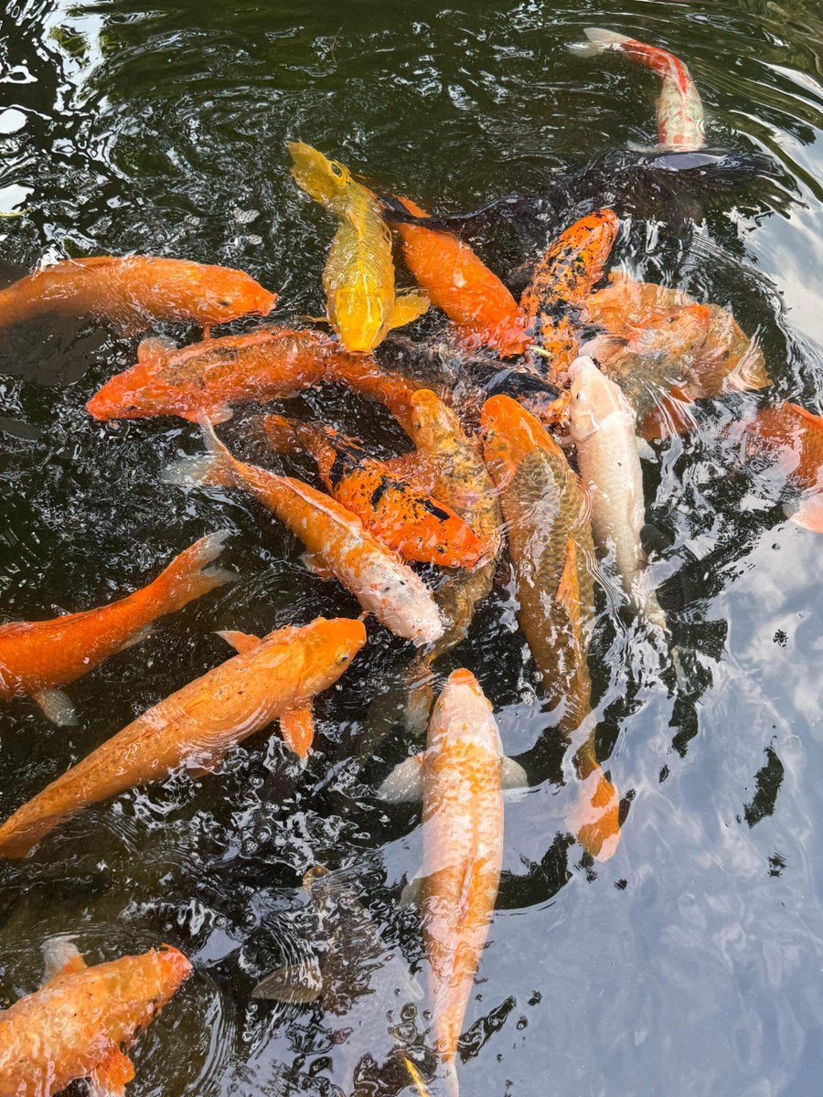 For me now, quiet time is just right.
Enjoy the little joys of the weekend 🍃