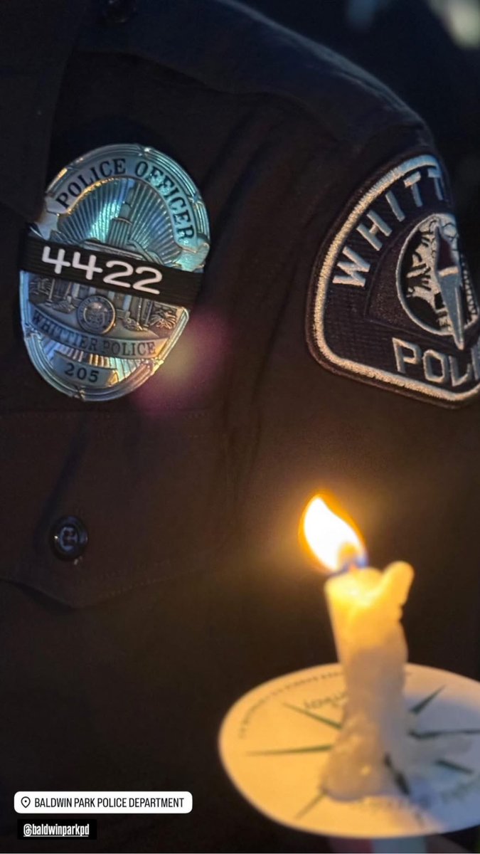 HonorBands (@honorbands2) on Twitter photo 