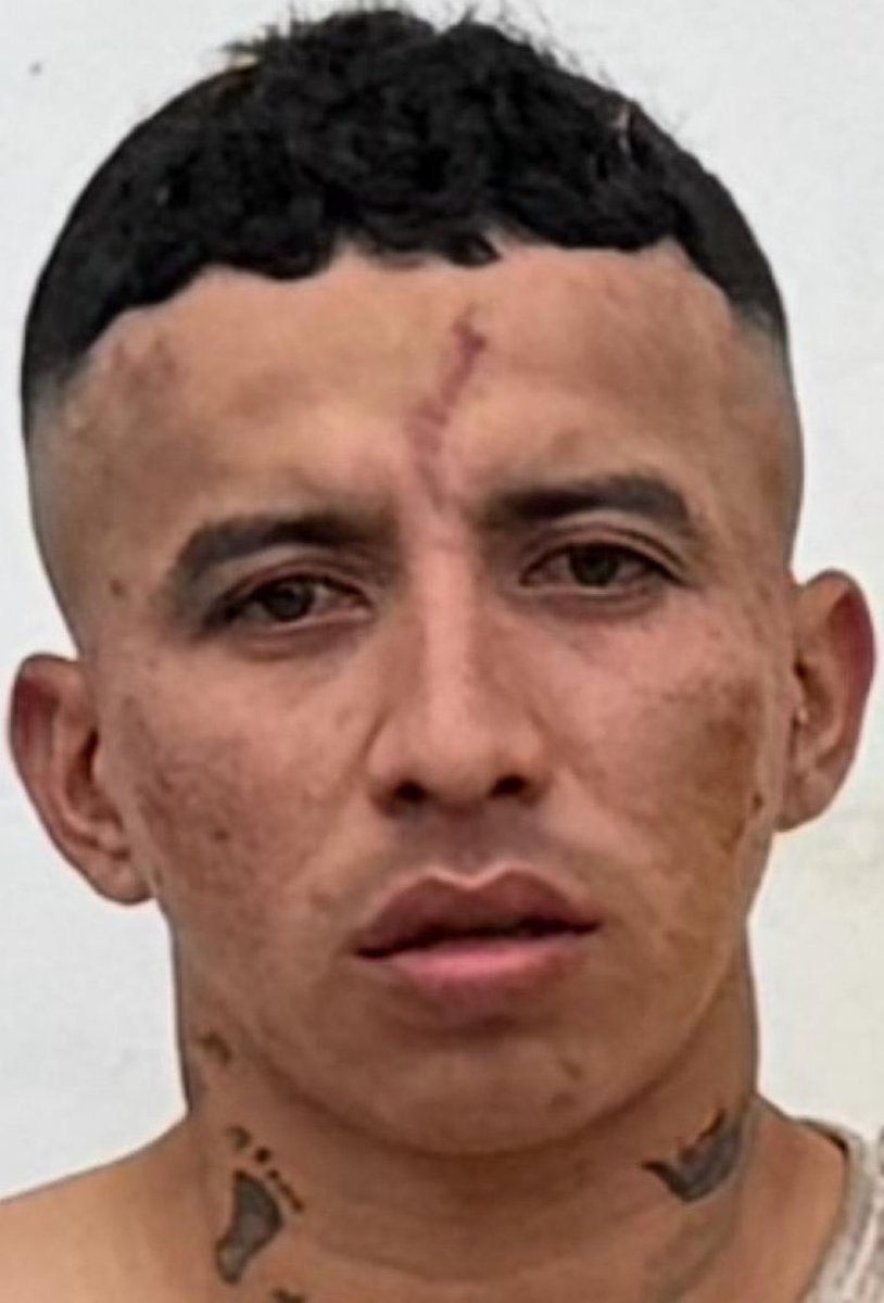 ASESINO.!!
DONDE LO VEAN Y TENGAN CHANCE, UNA PALIZA Y LUEGO FOSFOROS Y GASOLIN4.!!
ESTAS ESCORIAS NO MERECEN ESTAR EN EL PLANETA UN SEGUNDO MÁS.!!