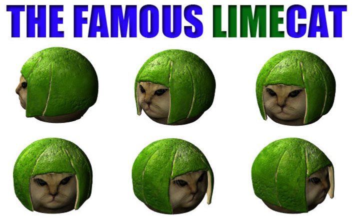 Limecat (@limecatonsolana) on Twitter photo 