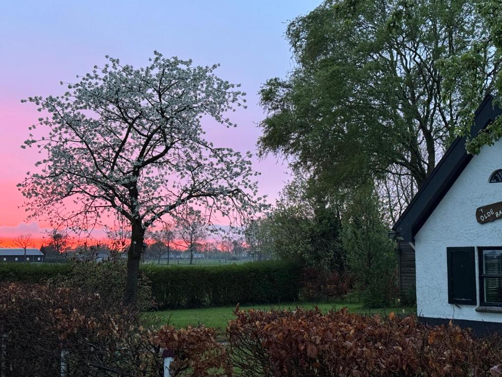 MauricePaarhuis's tweet photo. En dat was een spannende laatste wedstrijd van het seizoen 2024-2025! Opnieuw een prachtig aantal van 49 @KNVB wedstrijden dit seizoen!

Nu tijd voor ontspanning met de familie in Klarenbeek! Lekker weekendje genieten👇

't Olde Bakhuis van @JurgenSchefczyk, absolute aanrader 🙌 https://t.co/Dv3iodyZyc