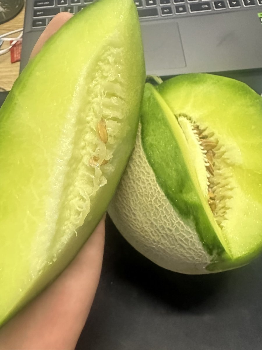 媒体预览