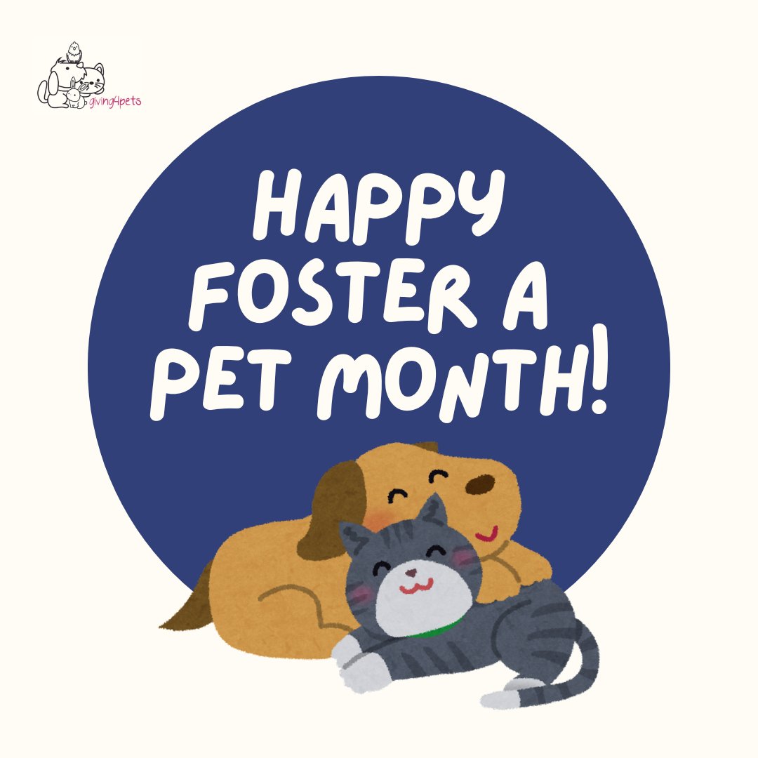 Not all heroes wear capes, some foster pets in need of homes. ❤️🐶 Join G4P as we celebrate Foster a Pet Month this June! Thank you to everyone who have fostered and continue to foster furry friends!