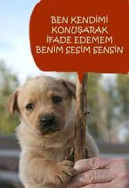 Türkiye'de sokak hayvanlarının maruz kaldığı zulmü dünyaya duyurmak için açılan hesaba destek olalım!

Takip lütfen 🐾

X :  <a href="/SaveAnimalsInTR/">Save Animals in Turkey</a>
Instagram: saveanimalsinturkey
Facebook: Save Animals in Turkey