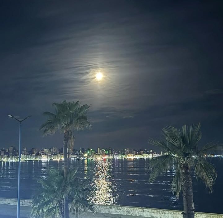 𓆃 𝕄 ahmoud Taher (@mt20999) on Twitter photo 