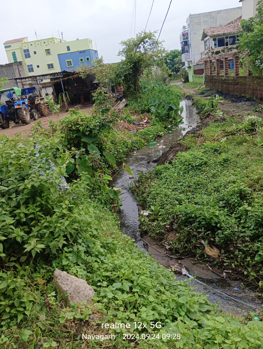 Under municipality Nayagarh ward no3 infront of RWSS office khandapada road,the condition of approaching road with the blind end of drain,10 families in trouble, please take needful action <a href="/AdmnNayagarh/">Collector & DM Nayagarh</a> <a href="/nayagarhmunicip/">Nayagarh Municipality</a> <a href="/suramapadhybjp/">SuramaPadhy</a> <a href="/CMO_Odisha/">CMO Odisha</a> <a href="/SecyChief/">ChiefSecyOdisha</a>