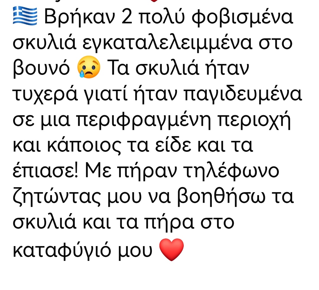 Ιεράπετρα Κρήτης ‼️‼️‼️‼️‼️‼️‼️ακόμα μια εγκατάλειψη στο βουνό 2 σκύλων. Ζήτησαν την βοήθεια του Τάκη Προεστακη κ ακόμα μια φορά δεν την αρνήθηκε. Μπράβο του 👏👏👏👏👏👏όσο για εσενα που τα πετάξες στο βουνό να πεθάνουν τι να πω... Μην τολμησεις να πάρεις ζώο ξανά‼️‼️‼️ΑΧΡΗΣΤΕ