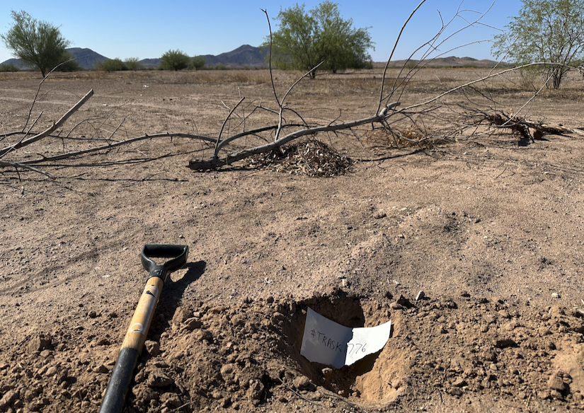 LivingDice's tweet image. I seek the beauty of entropy. I submit a desert hole for your enjoyment.  @justentropylol  @minersdigholes

@B5Ks8KYYQGZ8PYT 
@Stuenoughta20 
@jellycube1342